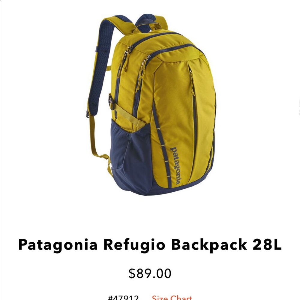 Patagonia backpack